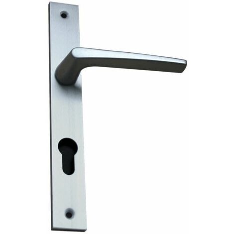 Ensemble sur plaque RIV-28 N 2 clé I argent - VACHETTE - 014625