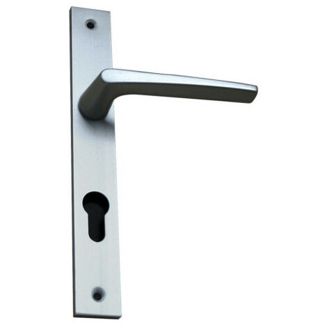 Ensemble sur plaque RIV-28 N°2 saillie réduite côté extérieur clé I argent - VACHETTE - 014625