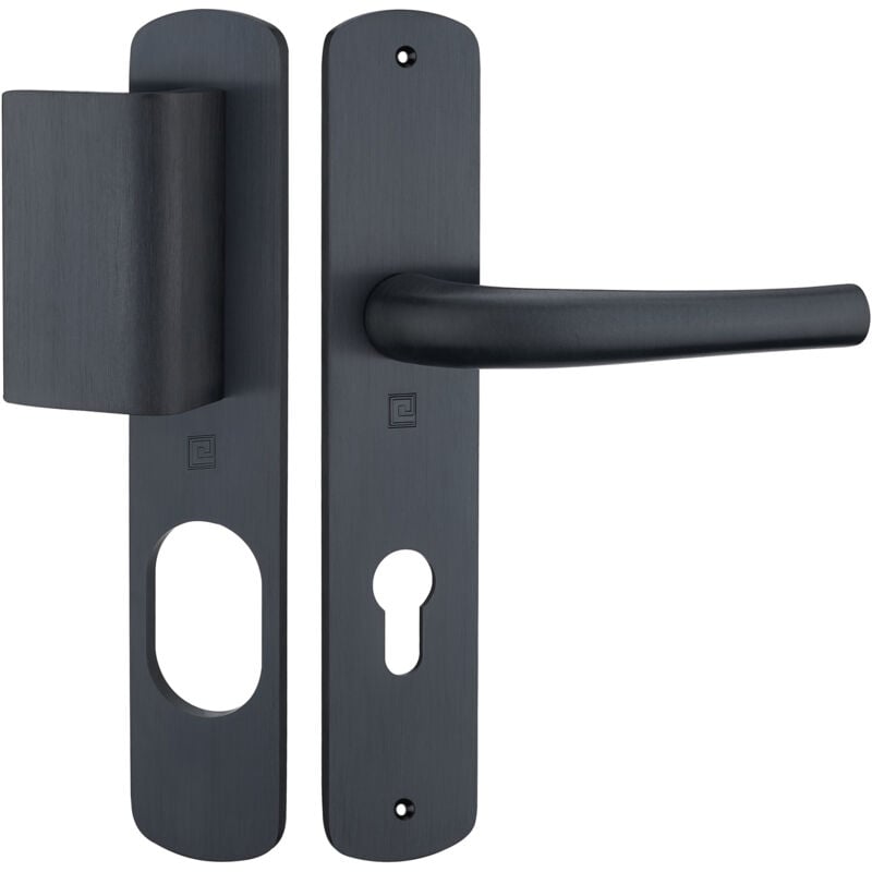 Heracles - Ensemble sur plaque salome home entraxe 195mm palière SGN2 noir B-SALOME-201