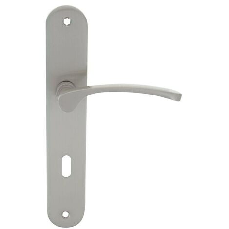 Ensemble sur plaque type Sara New béquille aluminium plaque acier entraxe 195mm nickelé mat à cylindre avec ressort - CADAP