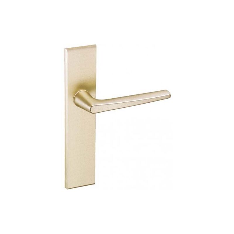 Vachette - Ensemble Riv-Junior type bec de cane finition champagne 014403