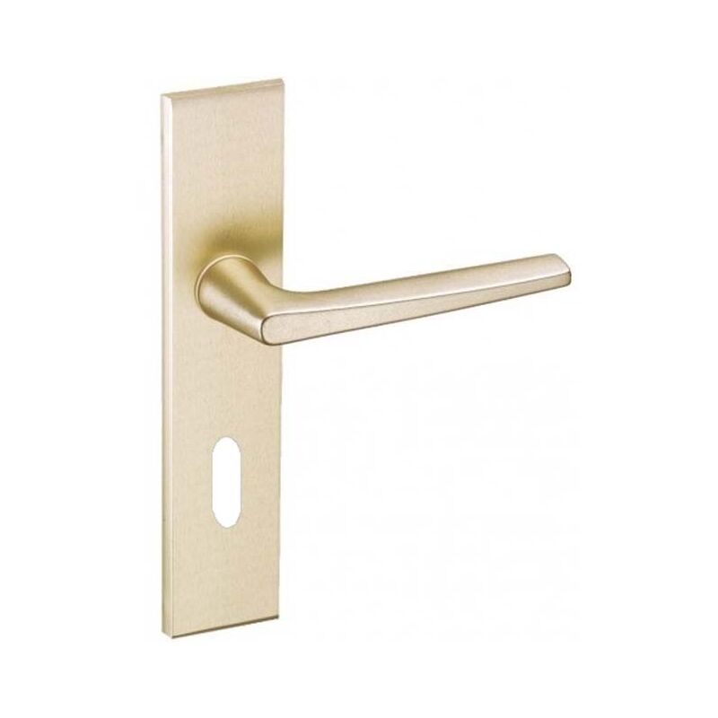 Vachette - Ensemble Riv-Junior type clé l finition champagne 014405