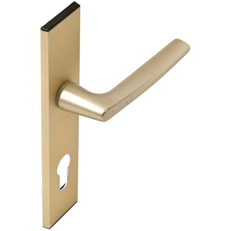 Vachette - Ensemble Riv-Junior type clé i finition champagne 014406