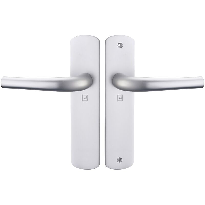 Ensemble sur plaques salome home entraxe 165mm bec de cane argent Heracles B-SALOME-31