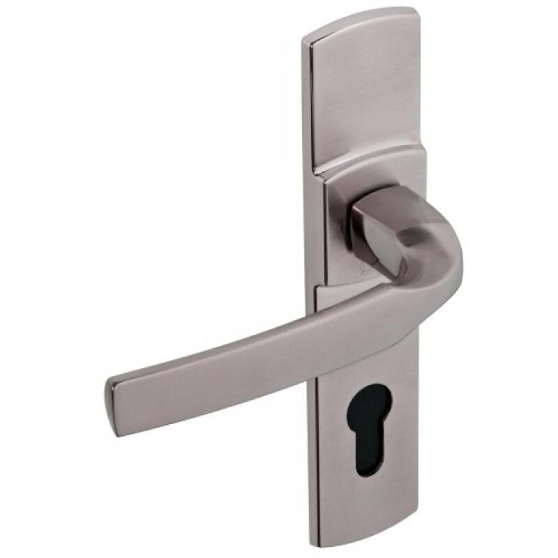 Vachette - Ensemble artis ea165 platine bec de cane