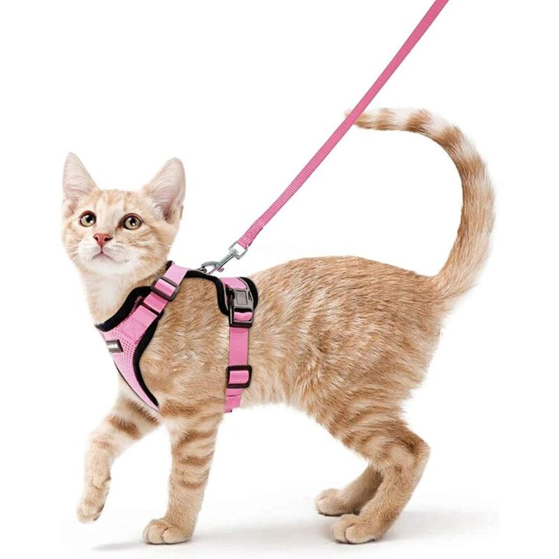 Harnais Chat Petit Chien Laisse Harnais Chaton Réglable Rose xs Collier Harnai Chat Refléchissant Gilet Respirant pour Lapin, Chat Européen, Maine