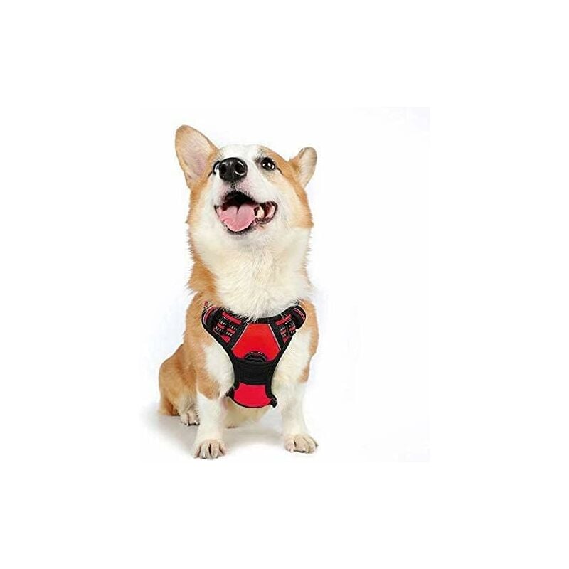 Ensoleille - Harnais Chien m Arnais Rouge Anti Traction Réfléchissant Gilet Réglable pour Chien, Attache Devant Crochet de Laisse pour Randonnée