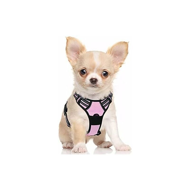Ensoleille - Harnais Chien s Arnais Rose Anti Traction Réfléchissant Gilet Réglable pour Chien, Attache Devant Crochet de Laisse pour Randonnée