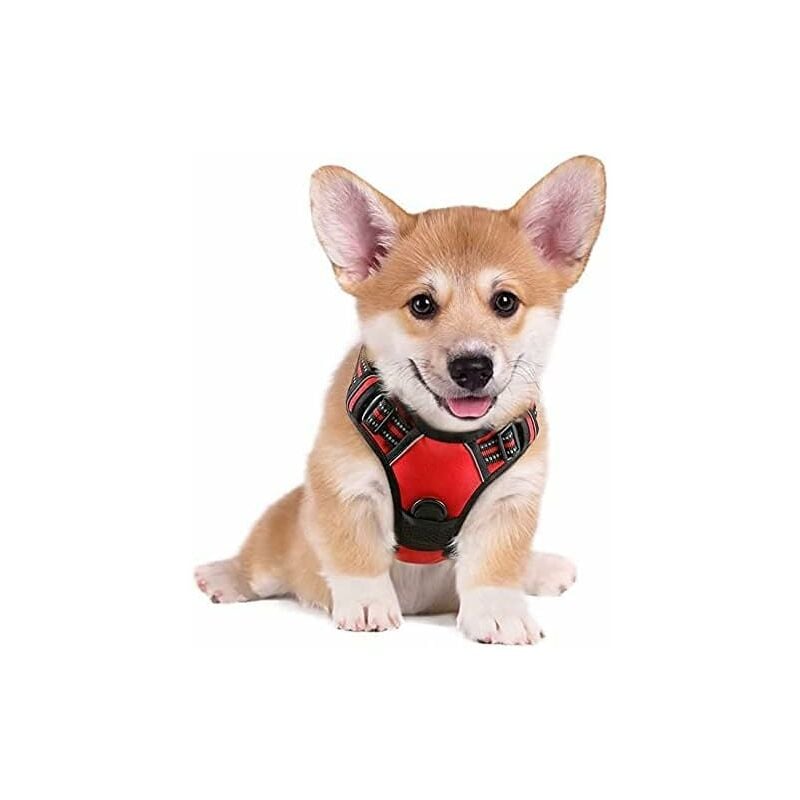 Ensoleille - Harnais Chien s Arnais Rouge Anti Traction Réfléchissant Gilet Réglable pour Chien, Attache Devant Crochet de Laisse pour Randonnée