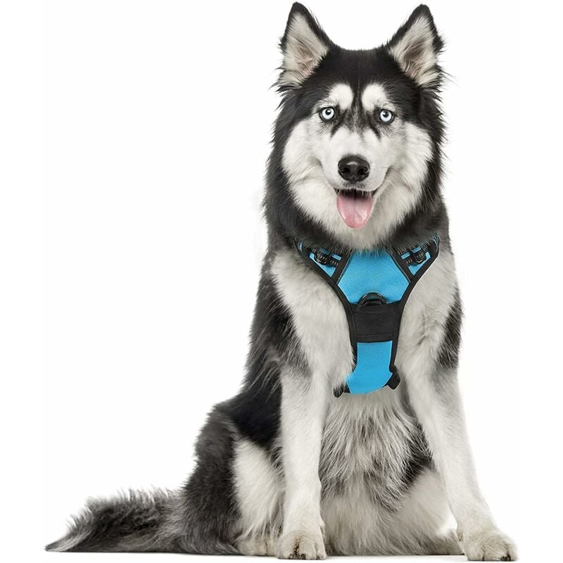 Harnais Chien XL Arnais Bleu Clair Anti Traction Réfléchissant Gilet Réglable pour Chien Grand Taille, Attache Devant Crochet de Laisse pour Trajet