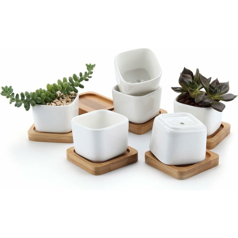 Ensoleille - Lot de 6 pots succulents en céramique hexagonale avec plateau en bambou blanc, pot de cache pot de cactus-Ensoleillé