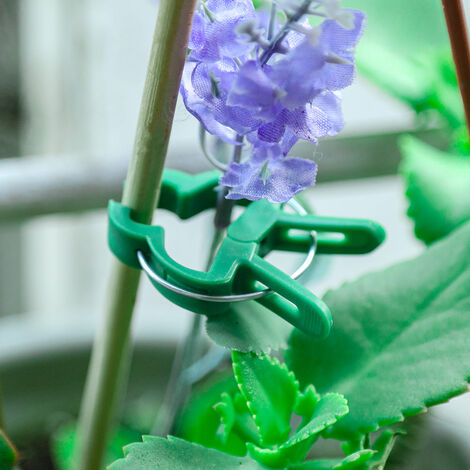 Ensoleillé Ensemble d'accessoires de jardin en plastique, supports pour plantes, 10 grands 10 petits combos
