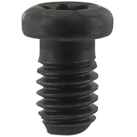 ENT Rundkopfschraube M4x6 mm zu Wepla Abrundfräser