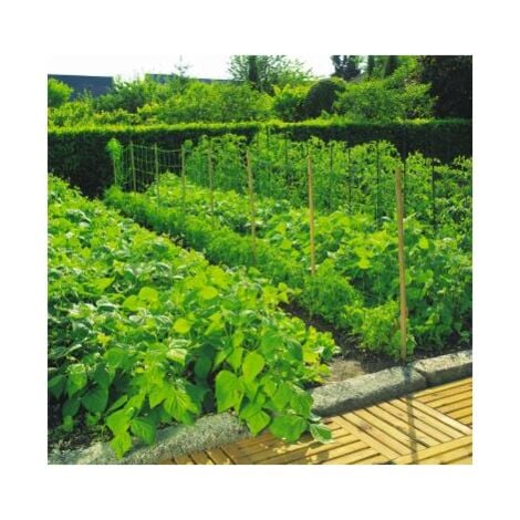 Entredorkage maillage 2 x 10 m - 120230