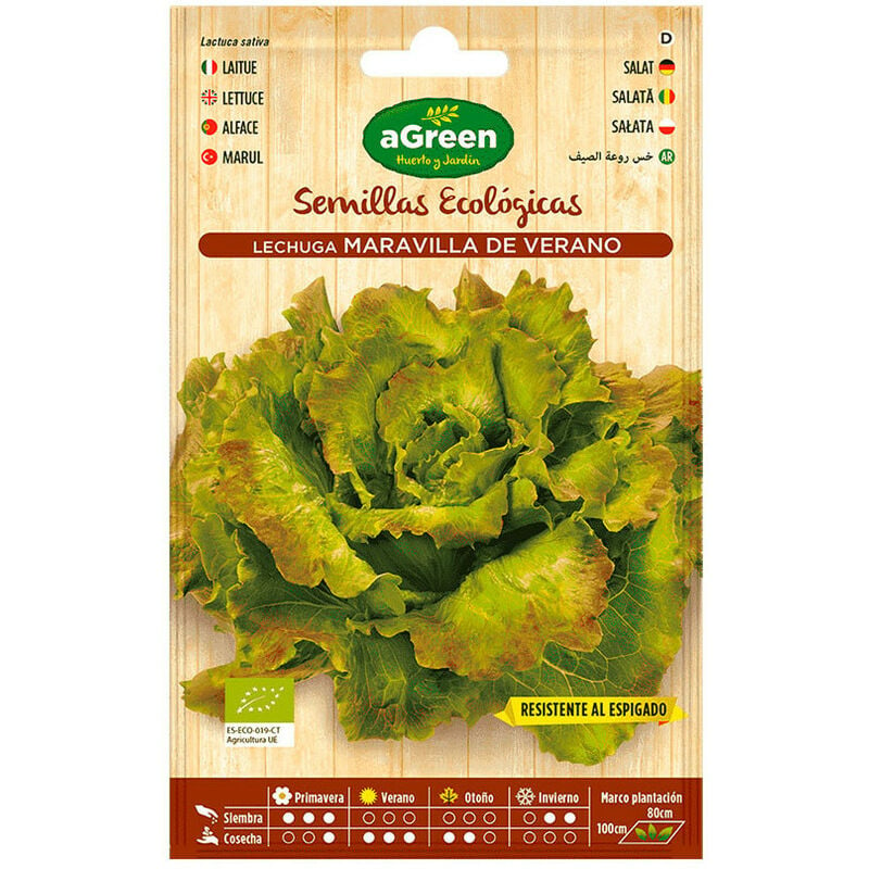Envelope Of Eco Seeds Salad Maravilla Agreen