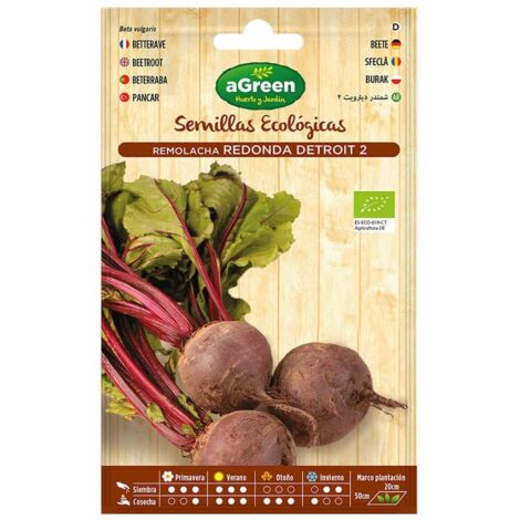 Enveloppe avec graines de betteraves Detroit Agreen biologiques