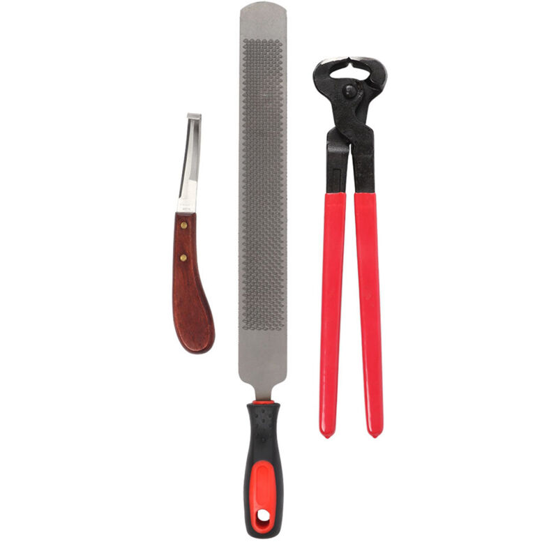 Kit de garniture de sabot, outils de maréchal-ferrant, professionnel pour ânes et chevaux de taille moyenne et grande - Eosnow