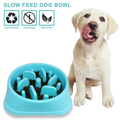 ePeTop Gamelle pour Chiens Anti Glouton - Bleu