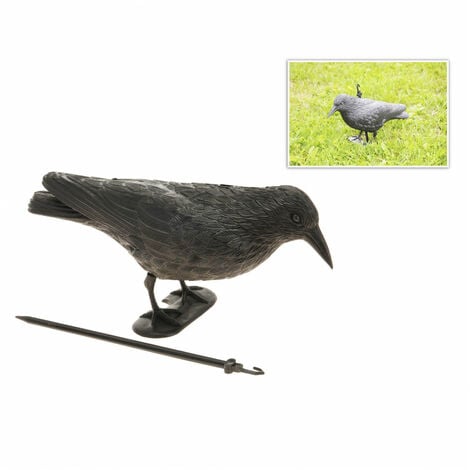 Corbeau anti-pigeons effet dissuasif Swissinno 1 582 001K pour  l'intérieur/extérieur - Conrad Electronic France