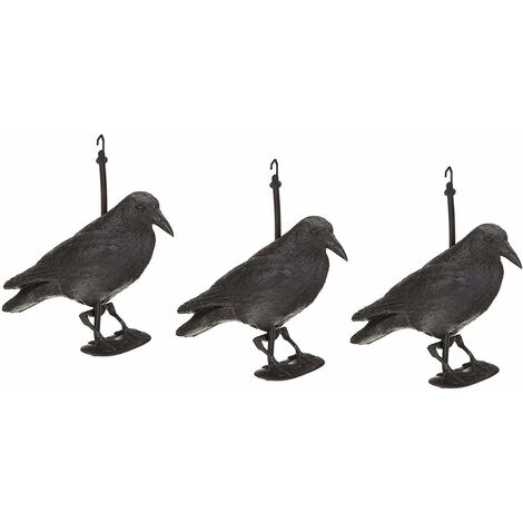 Acheter ICI corbeau anti-pigeon en lot de 2