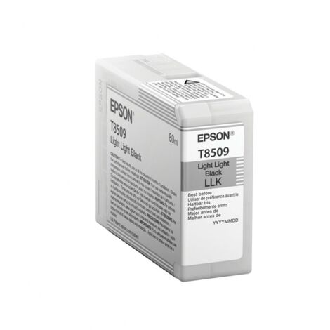 EPSON SureColor SC-P800 Cartucho Negro Light Light