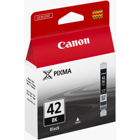 Epson T850900 cartouche d'encre 1 pièce(s) Original Noir très pâle
