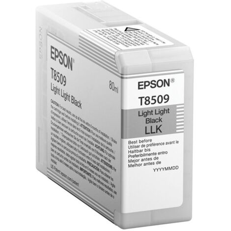 Epson T850900 cartuccia d'inchiostro 1 pz Originale Nero light light