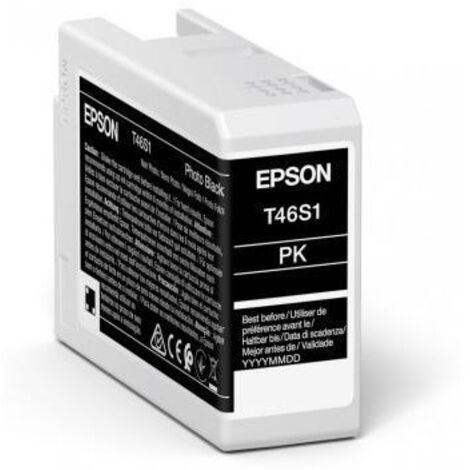 Epson UltraChrome Pro cartuccia d'inchiostro 1 pz Originale Nero per foto