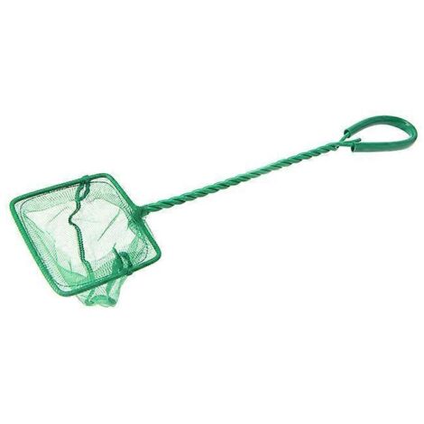 Épuisette d'aquarium à mailles ultra-fines, verte, sans danger pour les petits poissons et les crevettes, lot de 5
