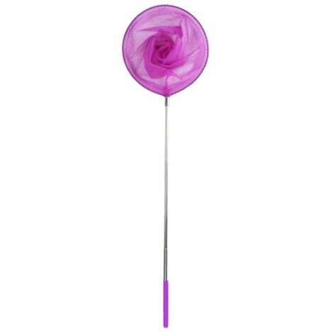 Épuisette télescopique en acier inoxydable pour enfants, filet de pêche à long manche adapté aux étangs
