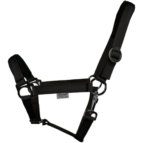 EQuest Halfter Regular Plus aus Polypropylen, schwarz - S / Pony