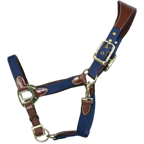 EQuest Halfter Unique für Pferde - Messing Finish, Cognac/Navy - L Warmblut