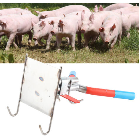 Équipement de castration porcine avec suspension double hook en acier galvanisé 35x22cm pour opération simple et efficace