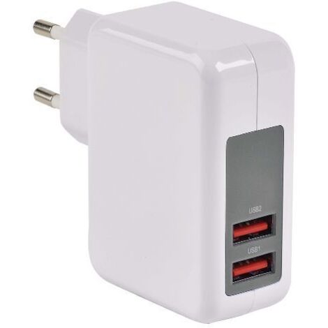 Erard - 2 x usb a chargeur 230v - 5v/2.4a + 1a - 728203 -