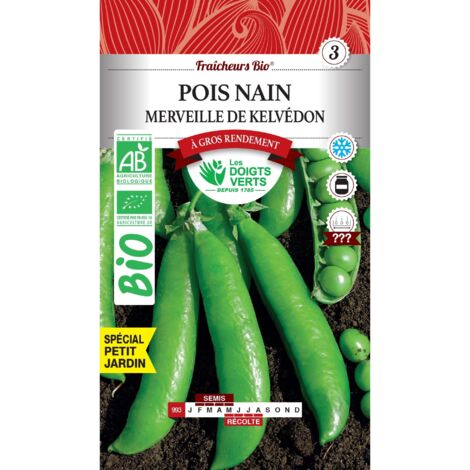 Erbsen Samen Zwergwunder von Kelvedon BIO Die Grünen Finger 100g