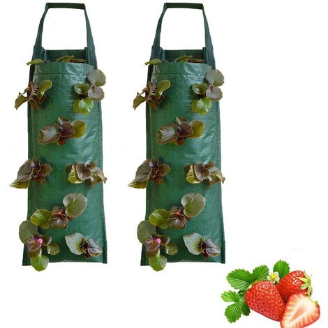 Erdbeere Pflanzsack 2 Stück, Hängende Pflanzbeutel, Für Pflanzen / Kräuter / Blumen / Gemüse