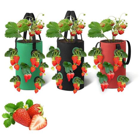 Erdbeere Pflanzsack 3 Stück, Garten Gemüse Zuchtbeutel,Grow Tasche, Hängend Erdbeeren Pflanztaschen, (20x35CM)