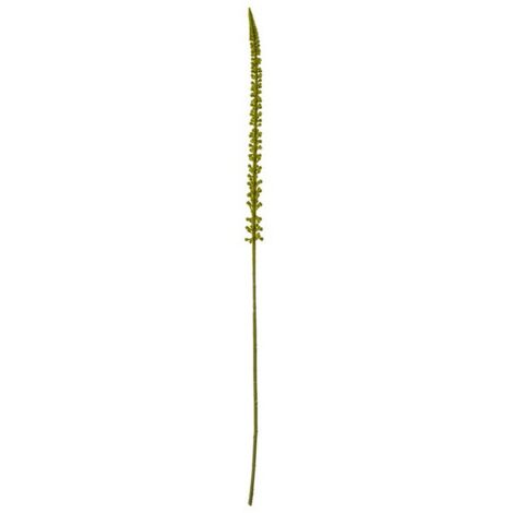 Eremurus (Single Stem Flower) - Plastic - L3 x W3 x H88 cm - Green