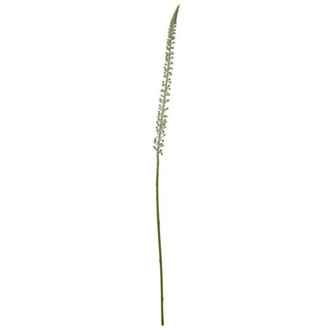 Eremurus (Single Stem Flower) - Plastic - L3 x W3 x H88 cm - White