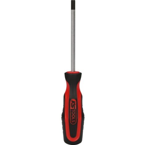 ERGOTORQUEplus Schraubendreher für Innensechskantschrauben, 6mm