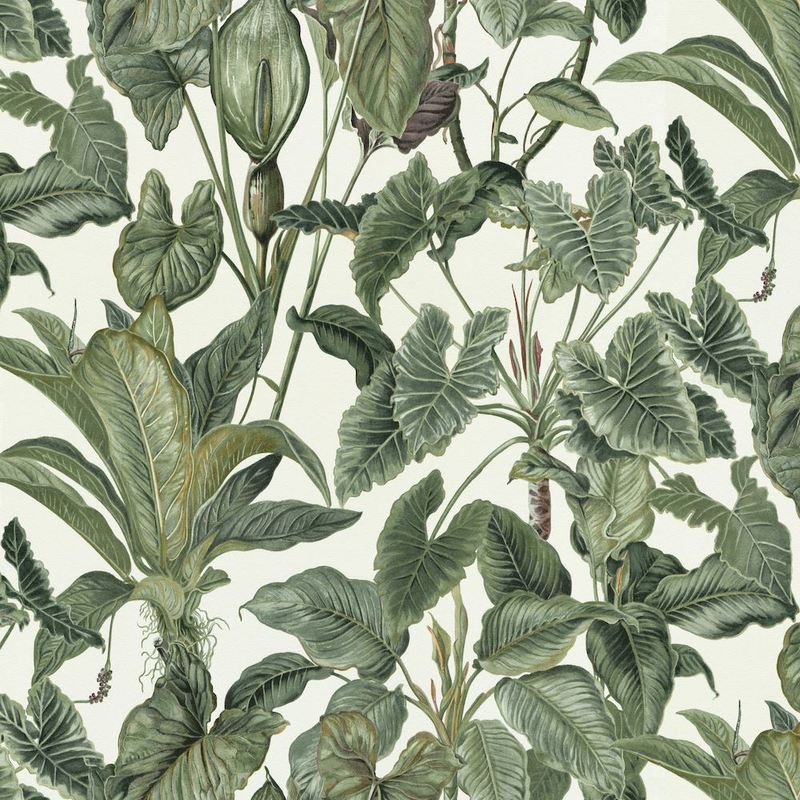 Paradiso Wallpaper Jungle Green Leaves Paradise Tropical Feature Vinyl - Erismann