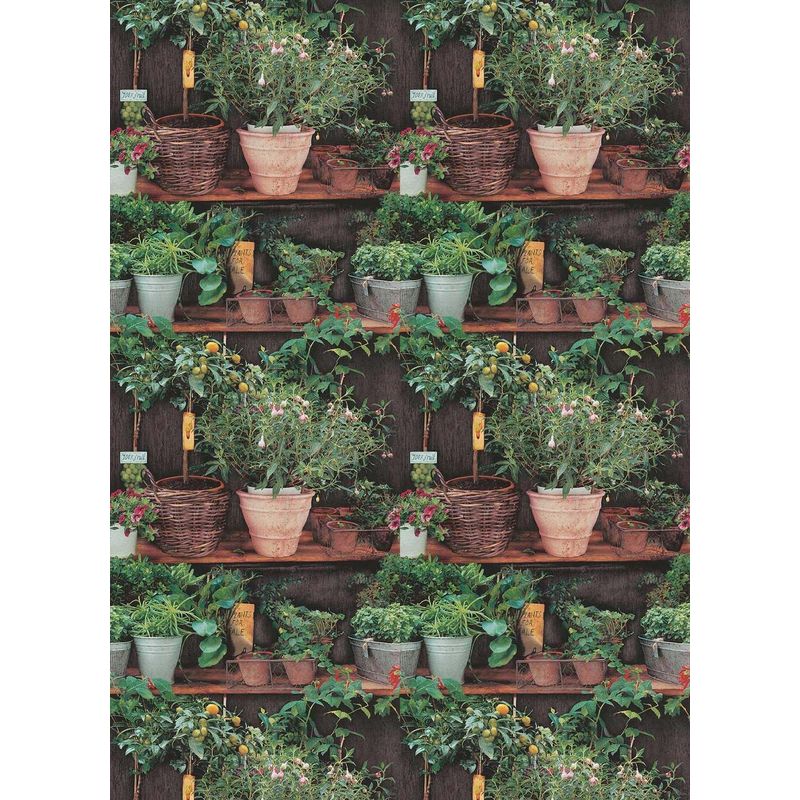 Potted Plants Wallpaper Floral Botanical Kitchen Paste The Wall Vinyl Erismann