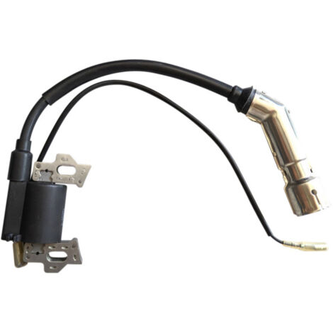 Ersatz Zündspule 168F 20140508 für Motorpumpen uvm.