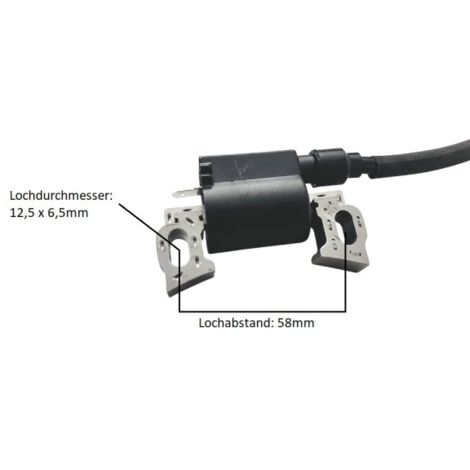 Ersatz Zündspule 1P65F für Benzin-Rasenmäher uvm.