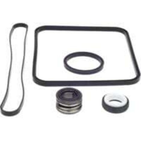 Ersatzdichtung für die Superpumpe des Hayward Go Kits, kompatibel mit den Modellen SP1600, SP2600 Regular, X, VSP, SPX1600TRA, SP1600Z2, PS-201, SPX1600R, SPX1600S und SPX1600T (Schwimmbad).