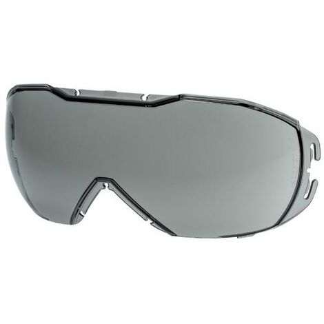 Ersatzscheibe 9320257 grau 23% sv exc.