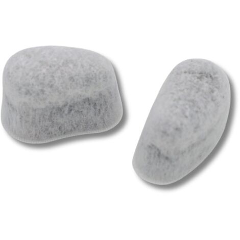 Ersatzteil - Set 2 Chlorfiltern -  - MOULINEX, KRUPS