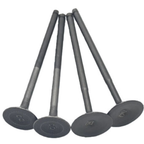 Ersatzventile für NEXUS 250 SR250 Motorräder, kompatibel mit Vespa 250 und 300 sowie Longjia 250 und 300.