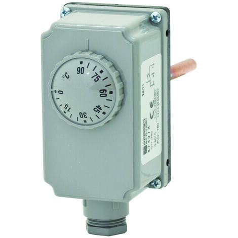 ESBE Tauchthermostat TIA122 1/2 Zoll Regelbereich 0 bis 90 Grad