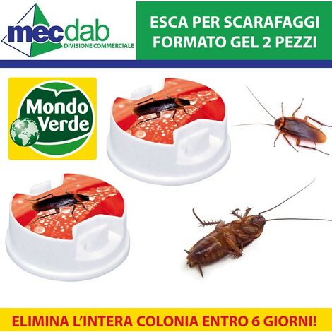 Soldmore7 Esche per Uccidere Gli scarafaggi Trappole adesive per scarafaggi Confezione da 10 Pezzi 